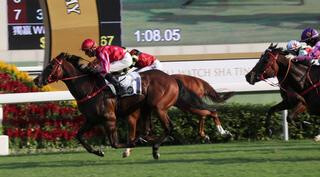 Mr Stunning claims the Group 2 Premier Bowl. Photo: Hong Kong Jockey Club